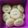 Cooksnap dari lia16 untuk resep Smiley potato