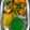 Darshana Patel's cooksnap of when they made Vati Daal Khaman, Tam Tam Khaman, Mari Masala Khaman.