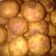 Cooksnap dari Netty Nurrezky untuk resep Palm Sugar Cheese Cookies