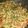 El cooksnap de Gustavo Ariel Drappo cuando hizo Risotto de vegetales 2x1.