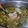 Cooksnap dari rien ay lie untuk resep Sop janda ala Susie.agung