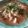 รูป Cooksnap ของ piya peipei เมื่อเขาทำ หลนปู