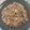El cooksnap de Laura cuando hizo Risotto de salmón.