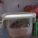 Cooksnap dari hanamasak untuk resep Pudding Ati Ayam Cokelat Promina - Snack MPASI Tinggi Kalori & Protein