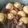 Cooksnap dari Cory Senjaya untuk resep Semur ati ampela
