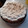 El cooksnap de lara besteiro cuando hizo Lemon pie.