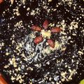 صورة من ام ساره العراقية ، شاركها بعد تجربة وصفة كيكة بنكهة الميرندا 😋
