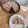 El cooksnap de silvi1_s Santarrosa cuando hizo Pastafrola de batata sin manteca.