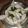 Vandna Raval's cooksnap of when they made સફેદ ઢોકળા (White Dhokla Recipe In Gujarati).