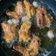 Cooksnap dari ninna untuk resep AYAM GORENG BAWANG PUTIH DOBEL PROHE (BISA MPASI ANAK)