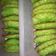 Cooksnap dari Sri Loestari untuk resep Cucur tradisional
