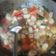 Cooksnap dari nurul novianti untuk resep Kerang Simping saos tiram
