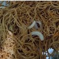ChefNandani Kumari का कुकस्नैप जब उन्होंने चाऊमिन (chowmein recipe in hindi) बनाया था।
