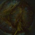 Cooksnap dari Nur Hayati untuk resep Pindang Ikan Mas