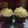 Cooksnap dari Anjani Fitria untuk resep Cupcakes