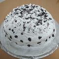 El cooksnap de Adrián Acosta cuando hizo Cómo hacer una torta de cumpleaños fácil y rica? 😲.