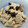 El cooksnap de Isabel M. CP cuando hizo Galletas de jengibre.