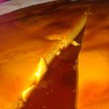 El cooksnap de Tamara cerrano cuando hizo Flan casero.