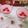Sarita Srivastava's cooksnap of when they made Strawberry Custard.
