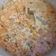Cooksnap dari Ida Fadilah untuk resep Sayur lodeh nangka muda