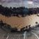 Cooksnap από Ζου Ειρηνη στη συνταγή Εύκολο γλυκό με Oreo