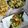 Cooksnap dari Mella Soeboeh untuk resep Rica Rodo khas Manado