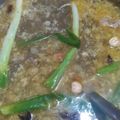 Cooksnap dari Mariska vernita jonathan untuk resep SOP IGA BETAWI ala DAPUR RENY