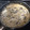 El cooksnap de JOSE cuando hizo Risotto de alcachofas y boletus.