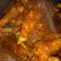 Cooksnap dari Nafisatuz Zahroch untuk resep CEKER PEDAS enak empuk nampol #selasabisa