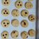 Cooksnap dari Lie Marselina untuk resep Soft Cookies dari Ampas Almond