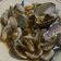 Cooksnap dari tira untuk resep Kerang Dara Saos Saori Lada Hitam