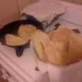 El cooksnap de Patry Weimer cuando hizo TORTAS FRITAS.