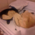 El cooksnap de Patry Weimer cuando hizo TORTAS FRITAS.