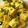 Bhavisha Hirapara's cooksnap of when they made ખમણ(khaman recipe in Gujarati).