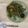 Yui Miles's cooksnap of when they made Seriously crispy Tempura - carrot leaves      