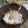 El cooksnap de Agata cuando hizo Receta tortitas - fáciles y rápidas.