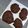 El cooksnap de Dolores cuando hizo Galletas de avena, plátano y chocolate.