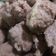 Cooksnap dari Veve Maulana untuk resep Bakso kambing