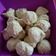 Cooksnap dari Ikhlas Fitri untuk resep Bakso Ayam mpasi 18 m+