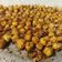 El cooksnap de Miguel Ferrer Alberich cuando hizo Garbanzos al horno • Snack saludable.