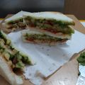 Payal Bhatt's cooksnap of when they made વેજ સેન્ડવિચ મુંબઈ સ્ટાઇલ (Veg Sandwich Mumbai Style Recipe In Gujarati).