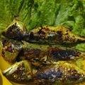 Cooksnap dari fitri aida marwah untuk resep Ikan Kembung Bakar ala RM Padang