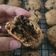 Cooksnap dari ayunda mirasati untuk resep Chocolate Chip NYC Soft Cookies