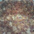 El cooksnap de Sandra cuando hizo Pizza salchichas, bacon y carne picada.