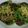 Rekha Varsani's cooksnap of when they made Dahi aalu tikki.