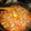 El cooksnap de Jose Andres Arenas Gonzalez cuando hizo Arroz con conejo, rabo de cerdo y caracoles.