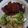 El cooksnap de Samantha Leal cuando hizo Pierna caramelizada.