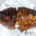 Cooksnap dari Fatim untuk resep Ikan bakar teflon praktis