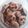 Cooksnap dari vanitha rachel untuk resep Chocochip Cookies