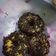 Cooksnap dari Olive Mahmidah Azzahroh untuk resep Donat kentang empuk